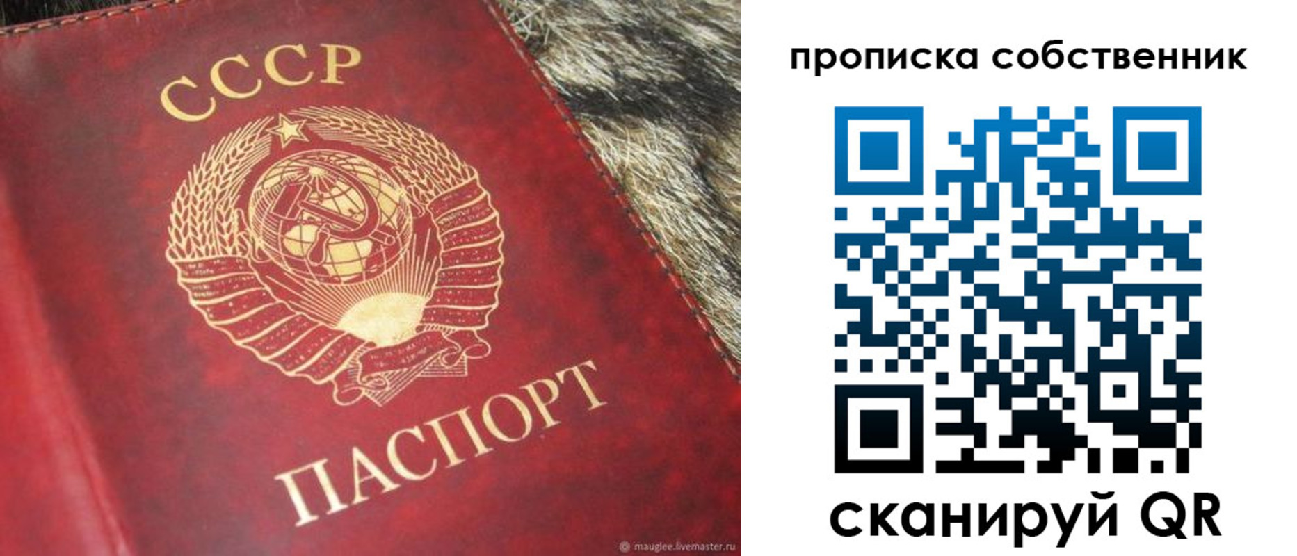 прописка в квартире в Ржеве